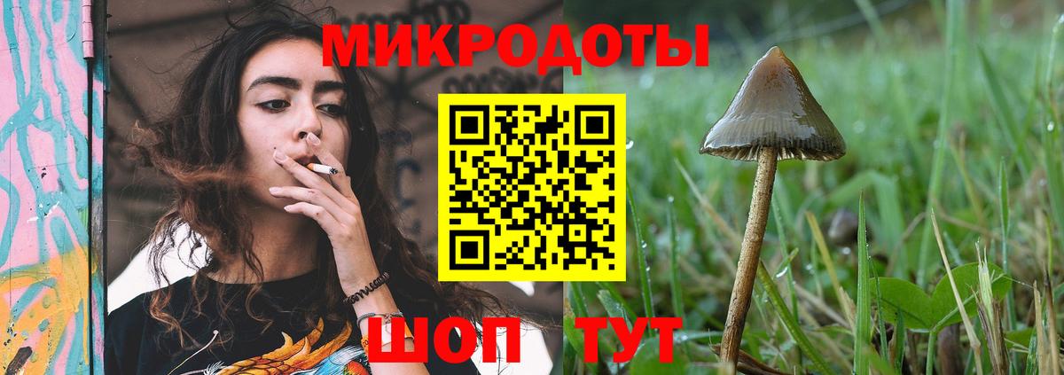 Елец  Галлюциногенные грибы GOLDEN TEACHER  Вход с VPN 